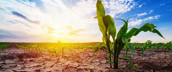Drought-1