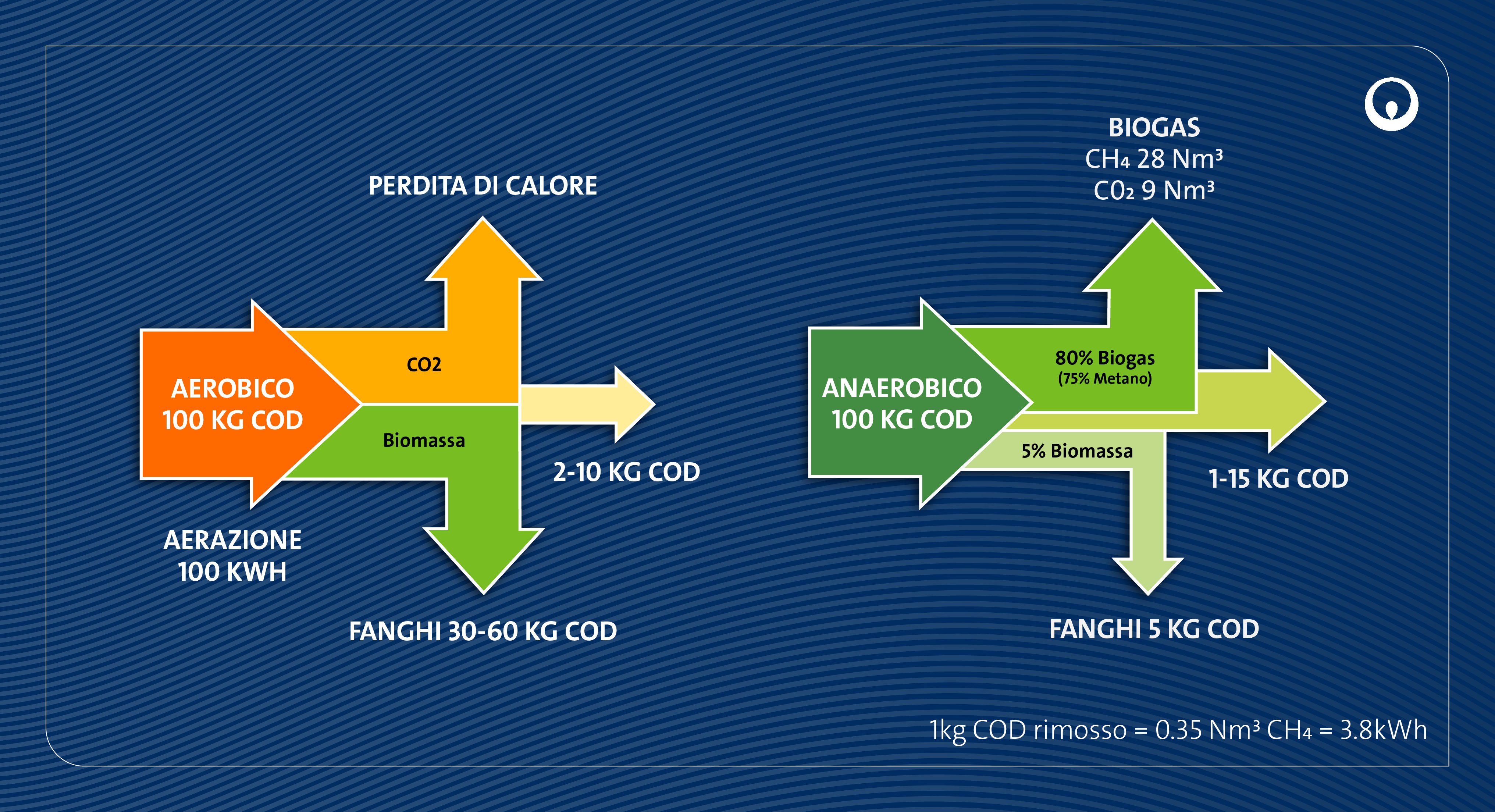 VWS_2024_200 VEOLIA HEATLOSS AND BIOGAS DIAGRAM REMAKE-V4 AW_IT[58]