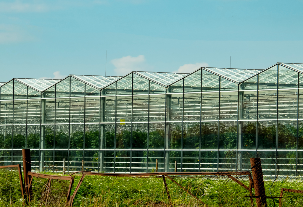 Agroalimentare