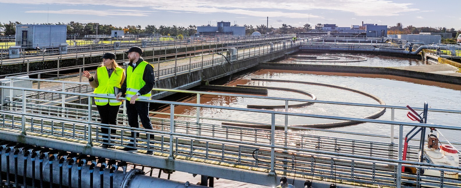 rimozione del fosforo