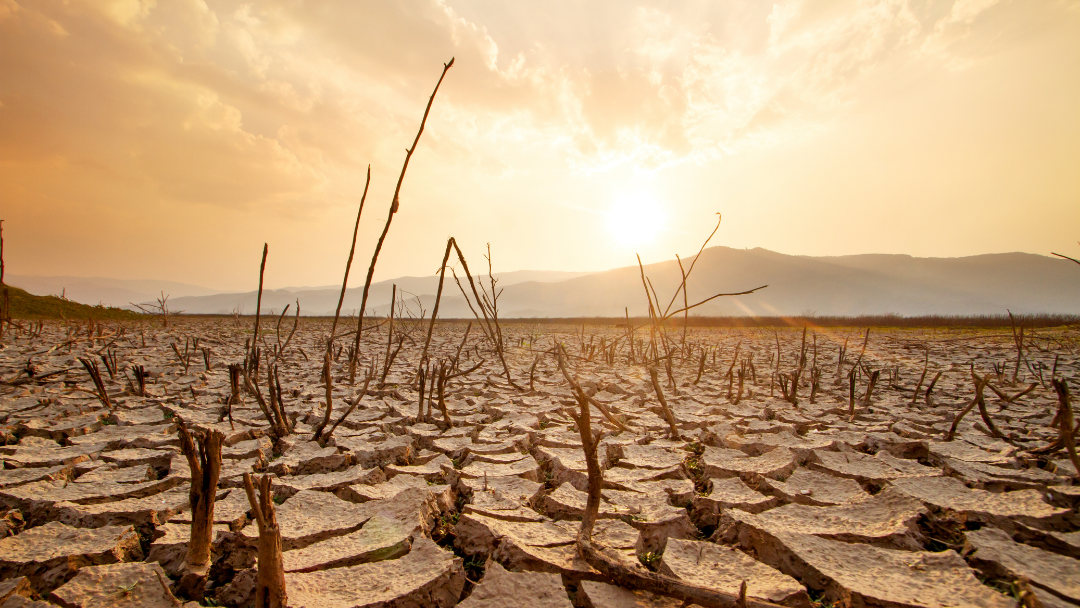 siccità e desertificazione